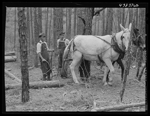 Untitled photo, possibly related to: Hauling logs. Heard County, Georgia