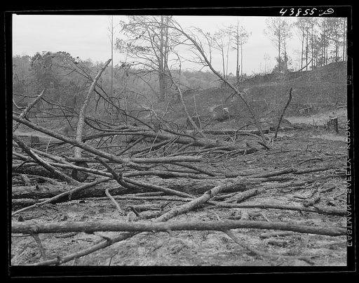 Burnt-over land in Heard County, Georgia