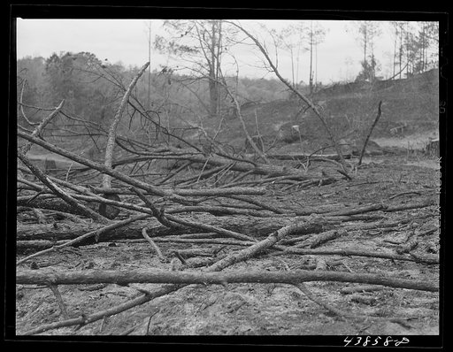 Untitled photo, possibly related to: Burnt-over land in Heard County, Georgia