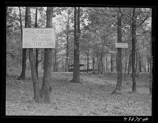Holiness grove in Heard County, Georgia