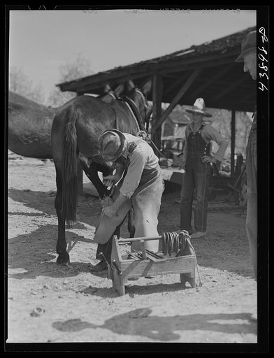 Untitled photo, possibly related to: Shoeing a mule in Glenloch. Heard County, Georgia