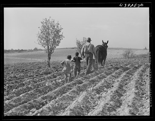 Untitled photo, possibly related to: Plowing in northern Heard County, Georgia