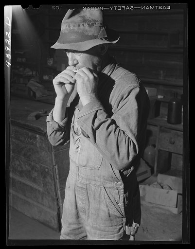Mr. W. Z. Estes carries a few supplies for local trade in what used to be a large and prosperous store in the community of Liberty Hill. Heard County, Georgia