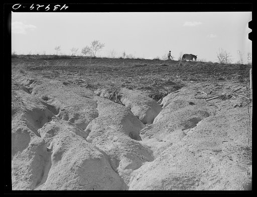 Untitled photo, possibly related to: Erosion south of Franklin. Heard County, Georgia
