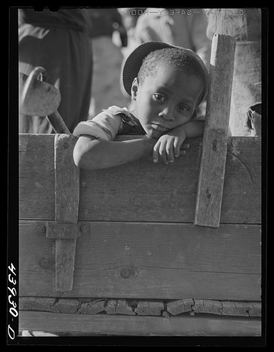 Son of Mr. Strickland, Negro FSA (Farm Security Administration) borrower. Heard County, Georgia
