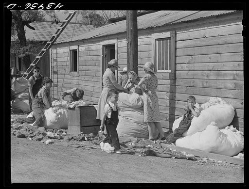 Untitled photo, possibly related to: Making matresses from surplus cotton in Centralhatchee. Heard County, Georgia