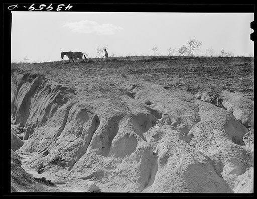 Untitled photo, possibly related to: Erosion south of Franklin. Heard County, Georgia