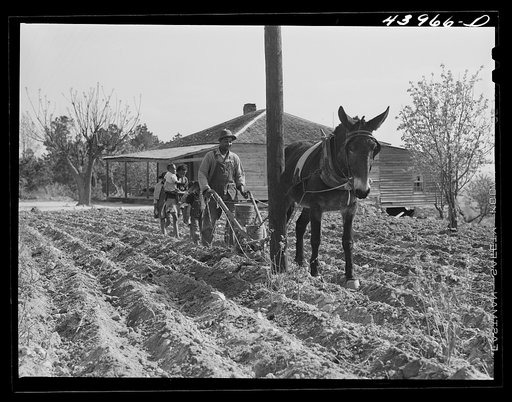 Untitled photo, possibly related to: Plowing in northern Heard County, Georgia