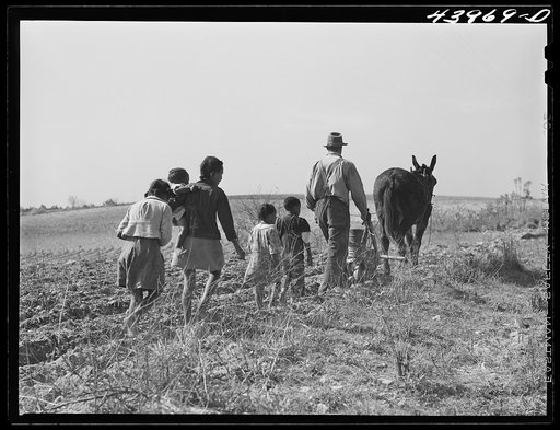 Plowing in northern Heard County, Georgia
