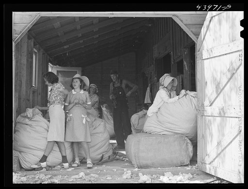 Making matresses from surplus cotton in Centralhatchee. Heard County, Georgia