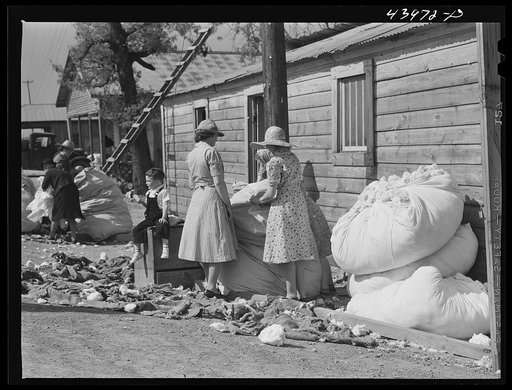 Making matresses from surplus cotton in Centralhatchee. Heard County, Georgia