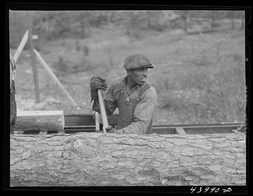 Sawmill worker in Heard County, Georgia