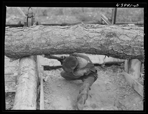 Untitled photo, possibly related to: Sawmill worker in Heard County, Georgia