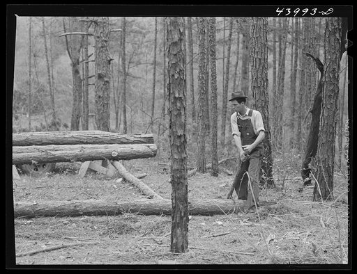 Lumbering. Heard County, Georgia