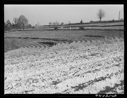 Untitled photo, possibly related to: Planting cotton near Franklin. Heard County, Georgia