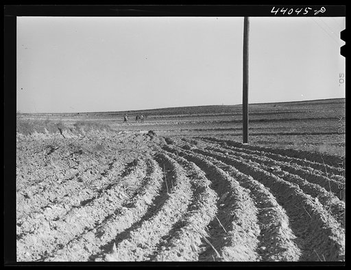 Untitled photo, possibly related to: Landscape in Heard County, Georgia