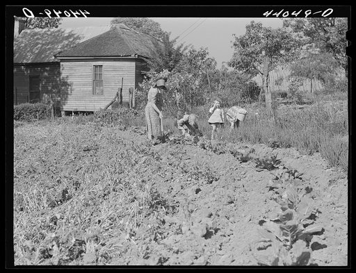 Untitled photo, possibly related to: Mrs. Lemuel Smith and the children working in the garden. Carroll County, Georgia