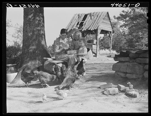 Untitled photo, possibly related to: Mrs. L. Smith and two of the children feeding the chickens. Carroll County, Georgia