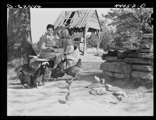 Untitled photo, possibly related to: Mrs. L. Smith and two of the children feeding the chickens. Carroll County, Georgia