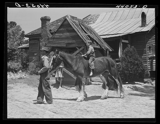 Untitled photo, possibly related to: Colie Smith gets a ride on one of two horses owned by the Smith family. Carroll County, Georgia