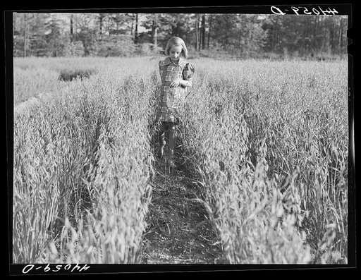 Untitled photo, possibly related to: Iola Smith and her dog walking through a field on the Smith farm in Carroll County, Georgia
