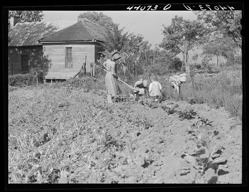 Untitled photo, possibly related to: Mrs. Lemuel Smith and the children working in the garden. Carroll County, Georgia