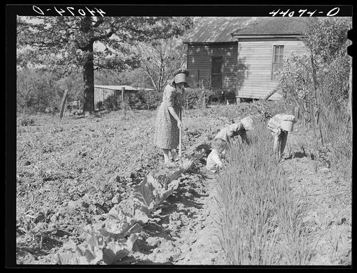 Mrs. Lemuel Smith and the children working in the garden. Carroll County, Georgia