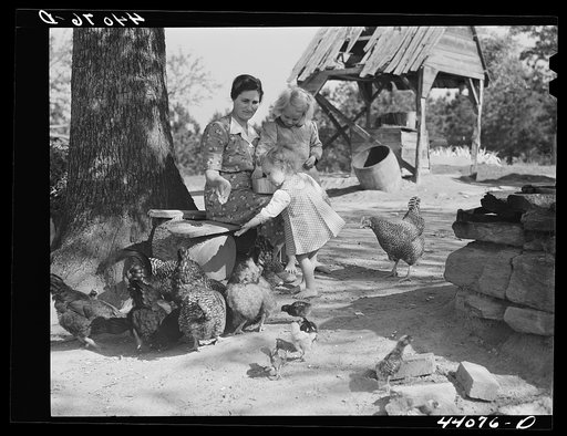 Mrs. L. Smith and two of the children feeding the chickens. Carroll County, Georgia