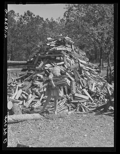 Untitled photo, possibly related to: Betty Smith gathering wood. Daughter of Lemuel Smith, FSA (Farm Security Administration) borrower in Carroll County, Georgia