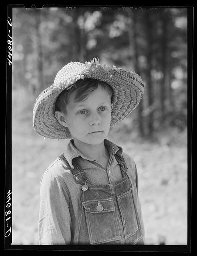 Colie Smith, son of FSA (Farm Security Administration) borrower Lemuel Smith. Carroll County, Georgia