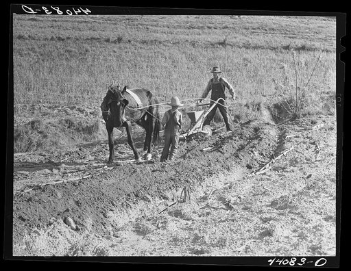 Lemuel Smith and son, Colie, working on his farm in Carroll County, Georgia