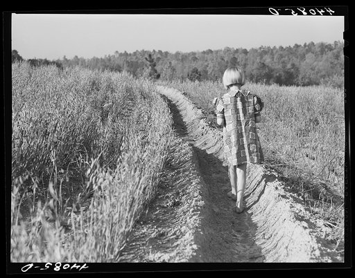 Untitled photo, possibly related to: Iola Smith and her dog walking through a field on the Smith farm in Carroll County, Georgia