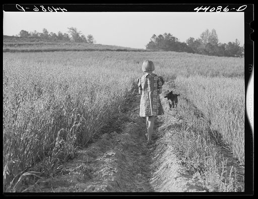 Iola Smith and her dog walking through a field on the Smith farm in Carroll County, Georgia