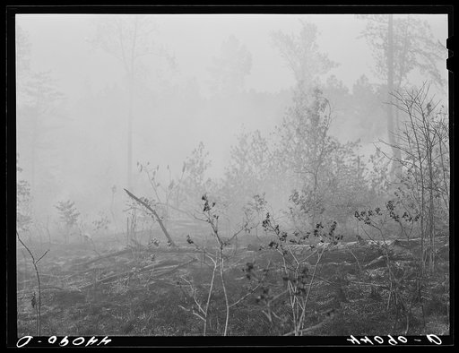 Untitled photo, possibly related to: Brush fire in Heard County, Georgia