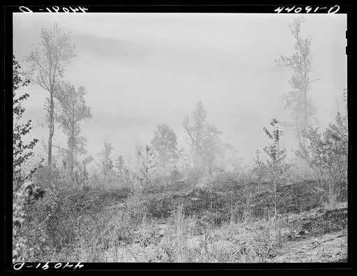 Brush fire in Heard County, Georgia