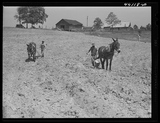 Untitled photo, possibly related to: Negro tenant plowing on his farm in Heard County, Georgia