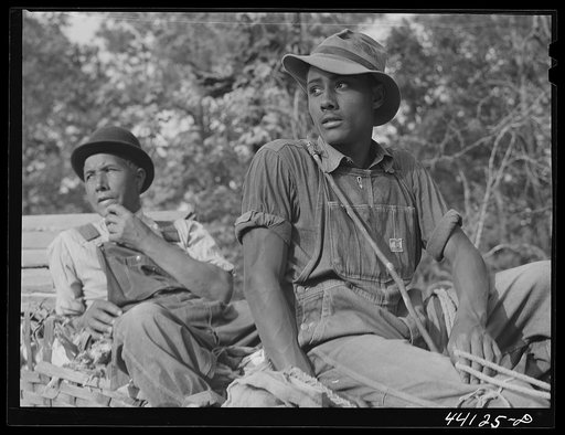Mr. Frank Barnett and his son. Negro farmer near Scull Shoals who is part Cherokee Indian. Greene County, Georgia