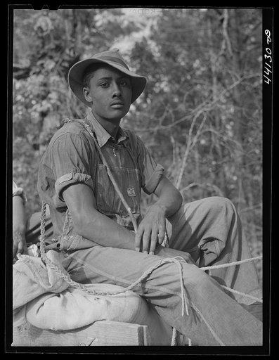 Untitled photo, possibly related to: Mr. Frank Barnett and his son. Negro farmer near Scull Shoals who is part Cherokee Indian. Greene County, Georgia
