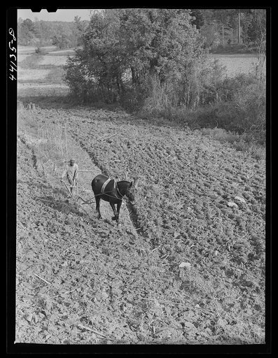 Plowing. Heard County, Georgia
