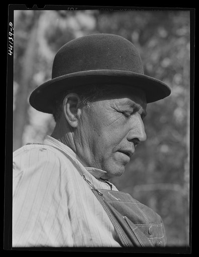 Mr. Frank Barnett, a Negro farmer who is part Cherokee Indian. Scull Shoals, Greene County, Georgia