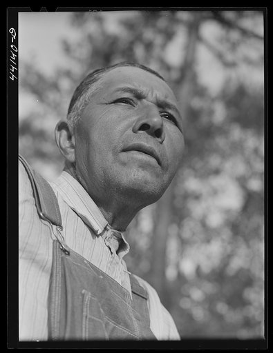 Mr. Frank Barnett, a Negro farmer who is part Cherokee Indian. Scull Shoals, Greene County, Georgia