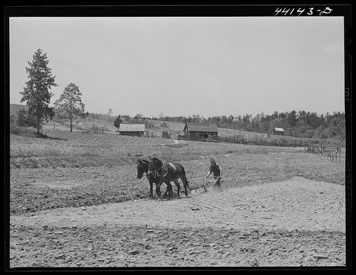 Mr. Hubbard plowing on his farm in Greene County, Georgia