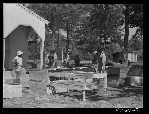 Building brooders as a part of the Food for Defense program of FSA (Farm Security Administration) at the Jones Central High School in Greene County, Georgia