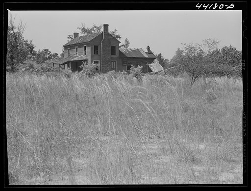 An abandoned house near White Plains. Greene County, Georgia