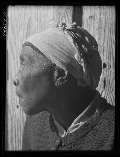 Mrs. Fanny Parrott, wife of an ex-slave near Siloam, Greene County, Georgia