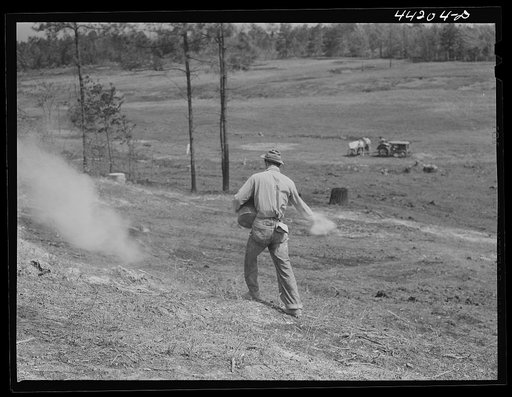 Liming a FSA (Farm Security Administration) pasture. Greene County, Georgia