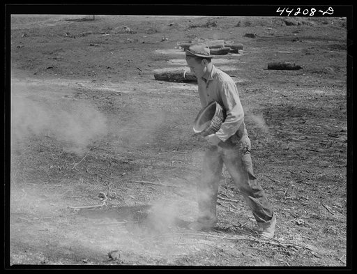 Untitled photo, possibly related to: Liming a FSA (Farm Security Administration) pasture. Greene County, Georgia