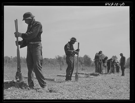 CCC (Civilian Conservation Corps) boys putting up a fence. Greene County, Georgia