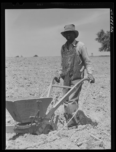 Untitled photo, possibly related to: Negro tenant plowing on his farm in Heard County, Georgia