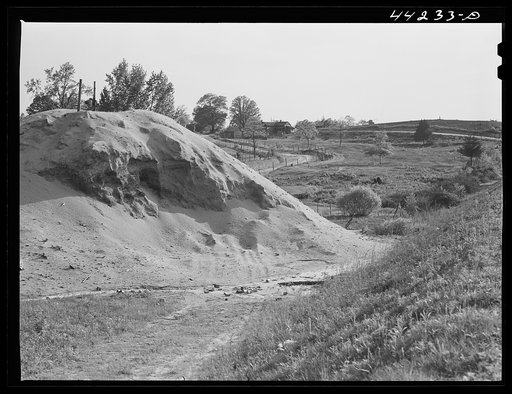 Sawdust pile. Heard County, Georgia